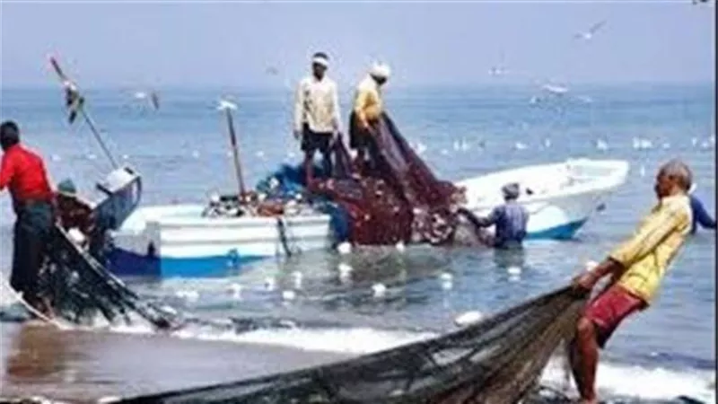 الجهات العلمية تحذر من لنشات الصيد المخالفة بخليج السويس