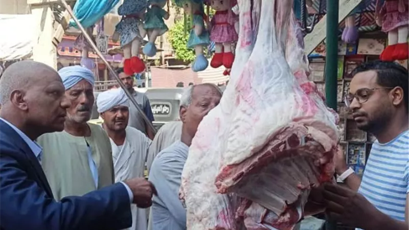 محافظ أسوان : مرور ميدانى لرؤساء المراكز والمدن