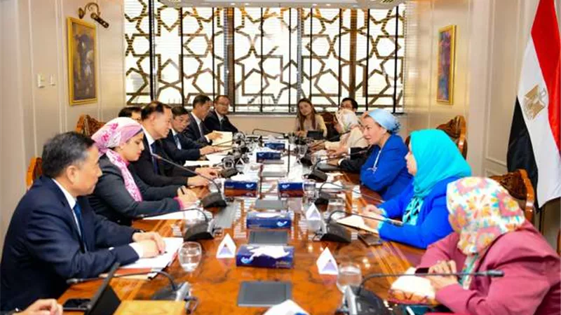 ياسمين فؤاد: نسعى لتعزيز التعاون بالاستثمار في العديد من المجالات