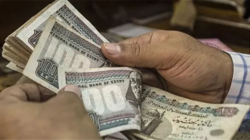 زيادة العلاوة الدورية 100%هدية قومى الأجور للعاملين بالقطاع الخاص