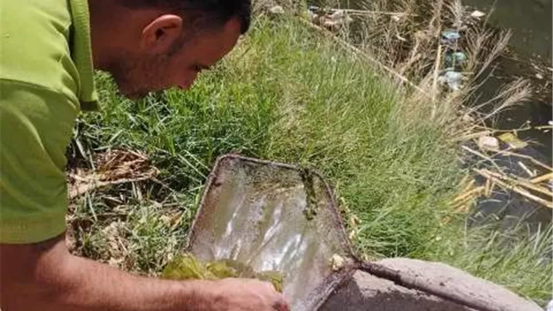 فحص وعلاج 5154 مجري مائي لمكافحة ناقلات ومسببات الأمراض بالمنيا