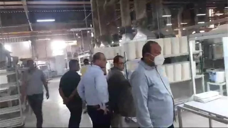 وزارة العمل: تجربة لخفض مستويات الأتربة بالأسكندرية