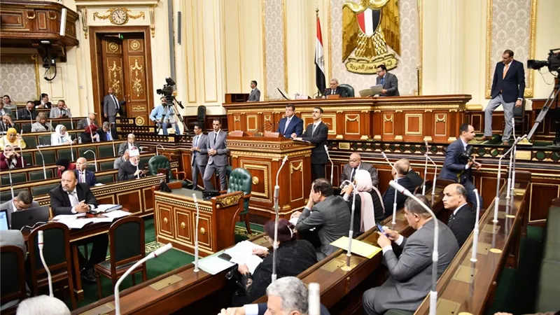 ابو العلا: يطالب بتوجيه الحصيلة الضريبية للسجائر للرعاية الصحية