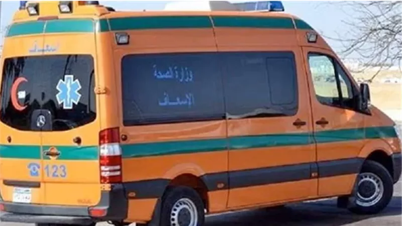 إصابة صاحب سوبر ماركت بجرح طعني بالصدر في القناطر الخيرية