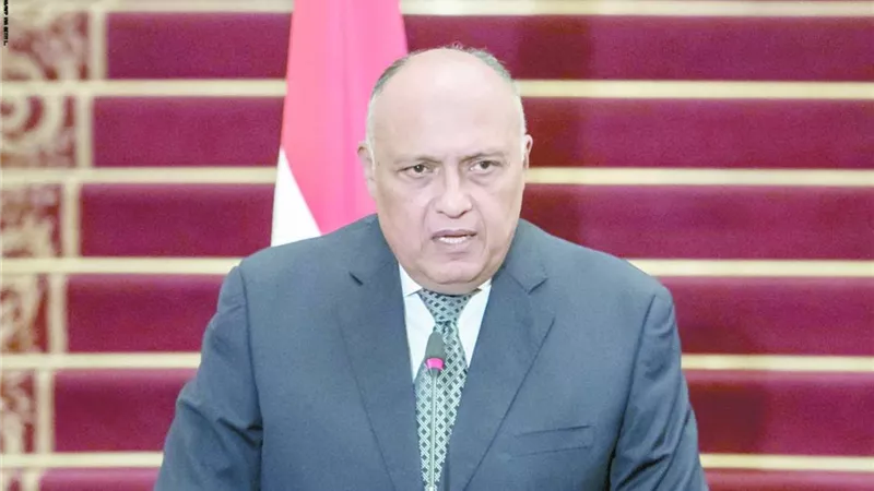 شكرى لنظيره البريطانى: 