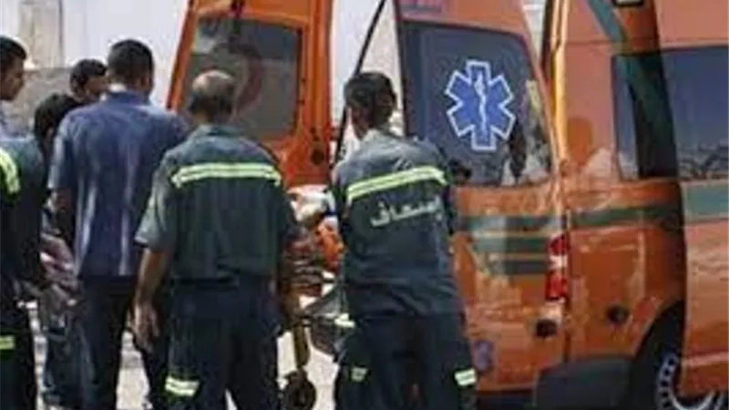 مصرع شخص صدمته سيارة أعلى الطريق فى البساتين