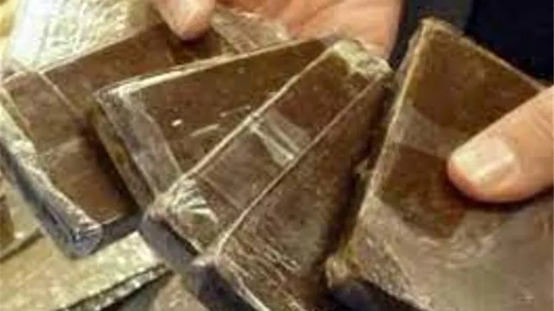 ضبط ديلر الإسكندرية بـ130 طربة حشيش