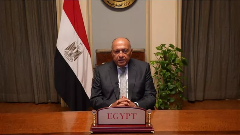 شكرى يشارك بالمؤتمر التحضيري pre - cop28