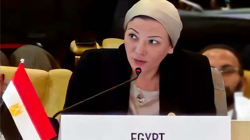 وزيرة البيئة: حق الدول النامية فى التنمية غير قابل للتفاوض