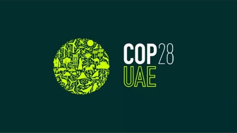 خبراء دوليون: 