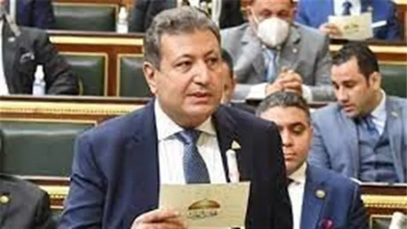 كيف تصل مصر لتوطين الصناعة والاستثمار ؟.. برلماني يكشف التفاصيل