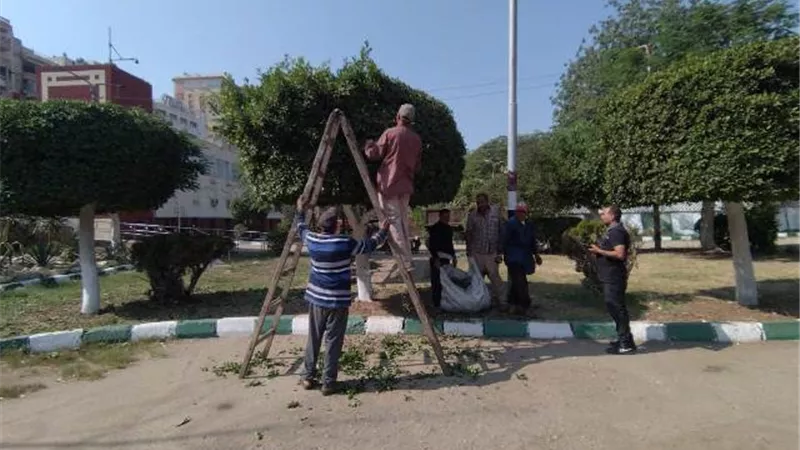 رفع 420 طن قمامه و40 طن اتربه وناتج تقليم أشجار فى الدقهلية