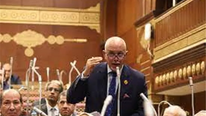 الجندى: خطة تنمية سيناء عززت الأمن القومى ومؤتمر رئيس الوزراء رسالة قوية