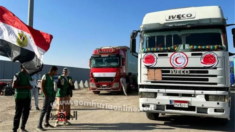 مجلس القبائل والعائلات المصرية يشارك بـ 31 شاحنة لقطاع غزة