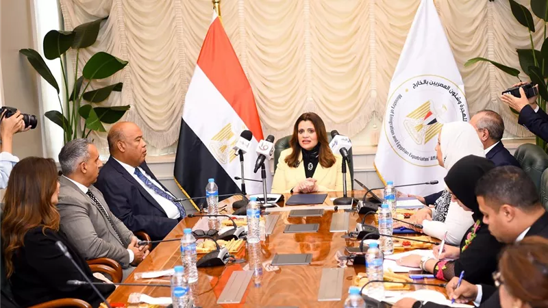الهجرة:إنشاء شبكة وطنية متكاملة لمساعدة شبابنا للعمل بمصر وخارجها