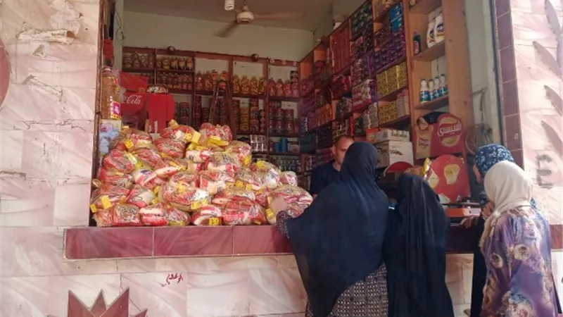 طرح ٤ أطنان سكر بقرى سمسطا
