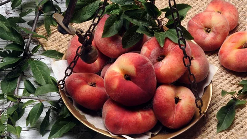 أبرز فوائد فاكهة كعب الغزال.. تقوية العظام