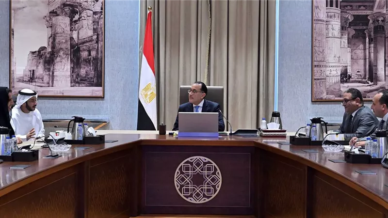 رئيس الوزراء يلتقى المدير التنفيذي لسلطة دبي البحرية