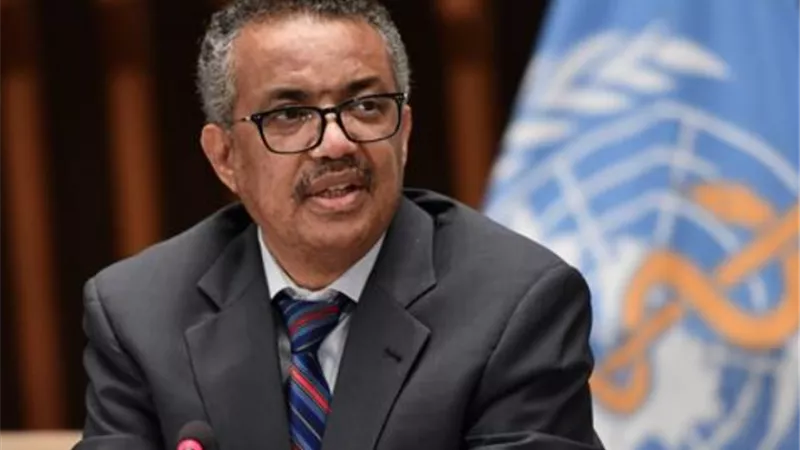 مدير 
