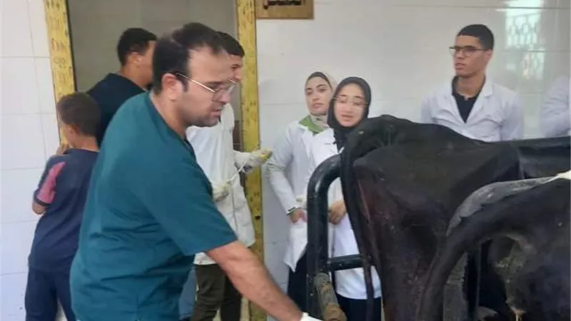 تنظيم قافلة بيطرية وقائية إرشادية علاجية بوحدة بني عامر بالعدوة