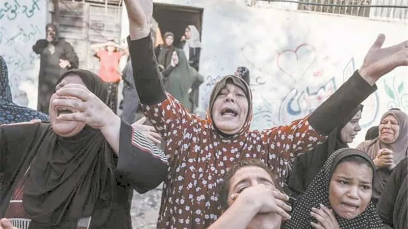 قضية فلسطين.. في صدارة أولويات الفنانين