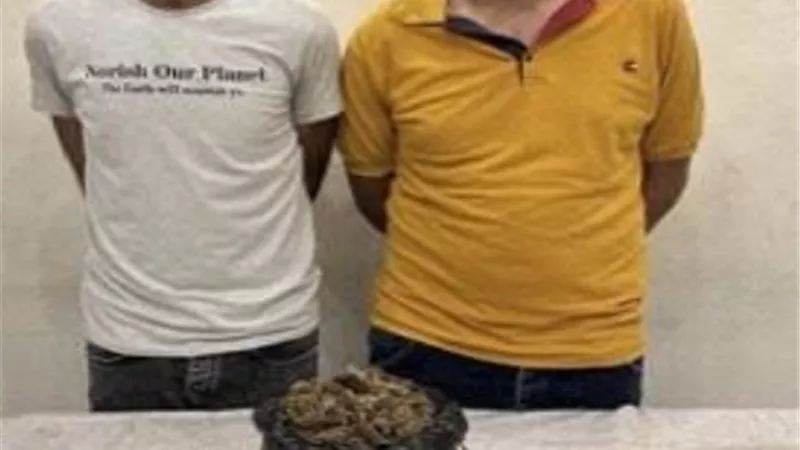 القبض على عاطلين وربة منزل بحوزتهم 14 كيلو مخدرات بالقاهرة