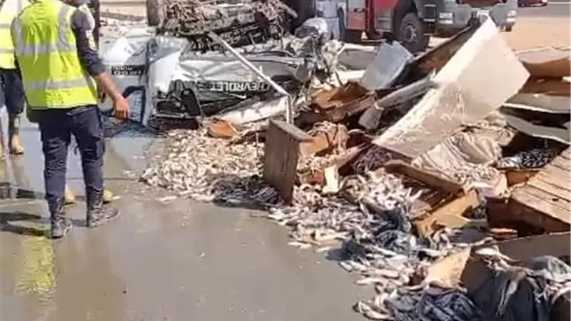 انقلاب سيارة محملة بالأسماك ومصرع قائدها بطريق السويس