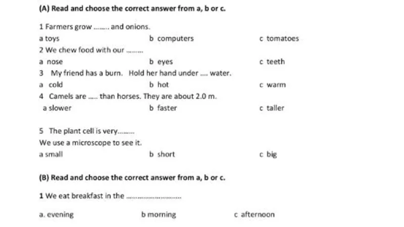 أكثر من 100 سؤال وإجابتهم فى اللغة الانجليزية لرابعة ابتدائي