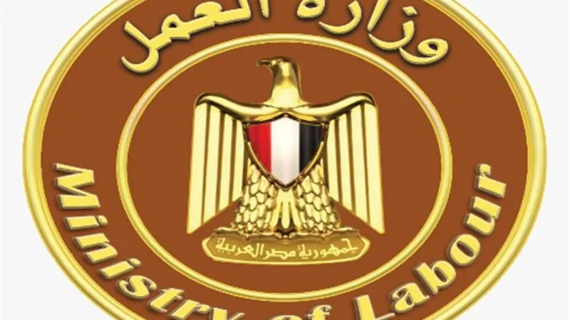 فتح باب التسجيل على دورات تدريبية مجانية لشباب الأسكندرية