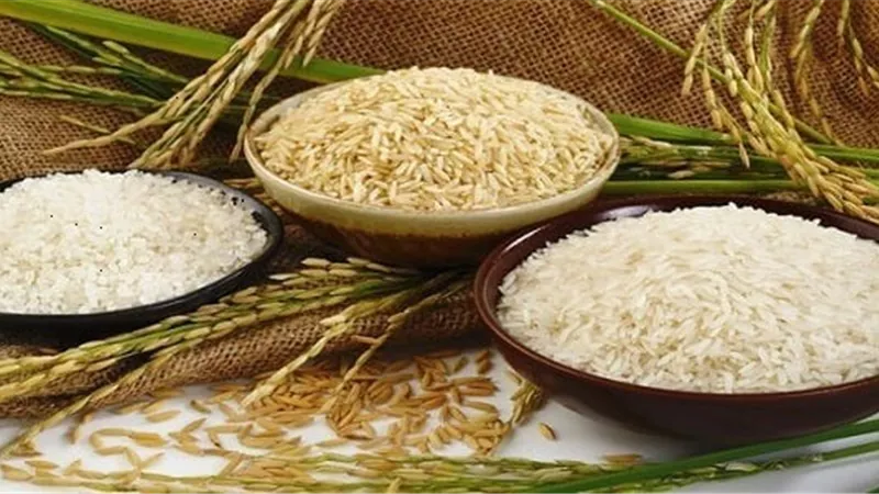 6 فوائد تدفعك لتناول الارز..تعرف عليها