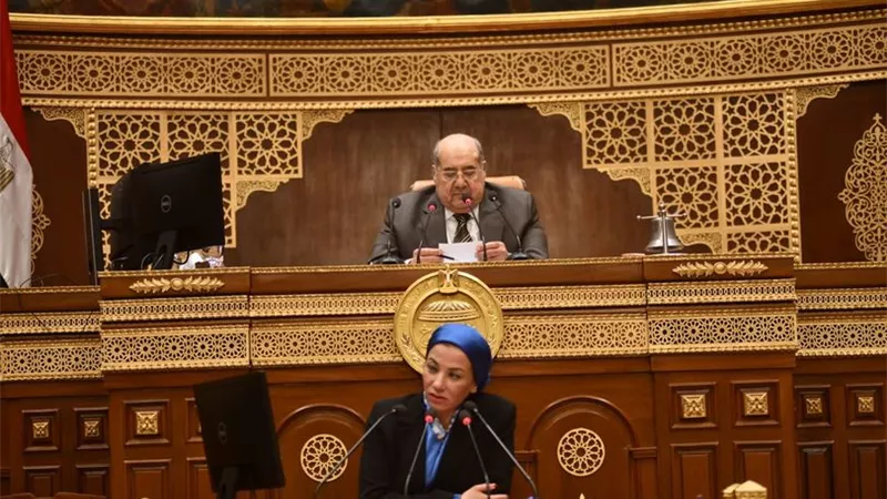 ياسمين فؤاد :تم إلزام الشركات بتقليل استخدام الفحم للحفاظ على البيئة