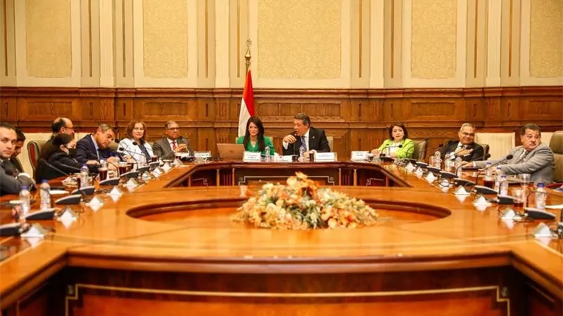 المشاط: نتجه نحو الشرق لتوسيع علاقات التعاون الإنمائي