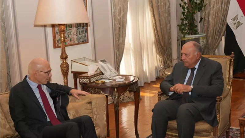 لإيصال المساعدات لغزة.. شكري يلتقي مفوض الأمم المتحدة لحقوق الإنسان