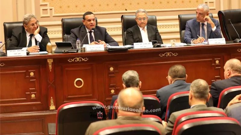 هشام آمنة : تنفيذ 27 ألف مشروع في المرحلة الأولى ( حياة كريمة )