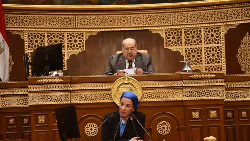 ياسمين فؤاد تستعرض جهودالحد من الانبعاثات لدفع التنمية الاقتصادية
