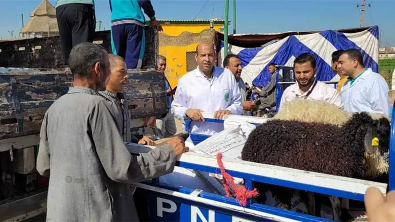ثلاث قوافل طبية بيطرية مجانية بمراكز أبو قرقاص و ملوي والعدوة
