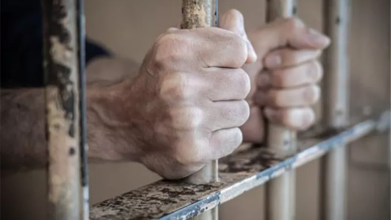 عقوبة سرقة السجلات الحكومية والمرافعات القضائية