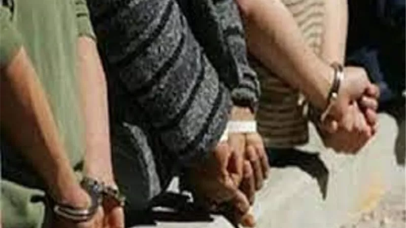 ضبط 3 أشخاص بحثوا عن إرث الفراعنة داخل شقة بالمنوفية