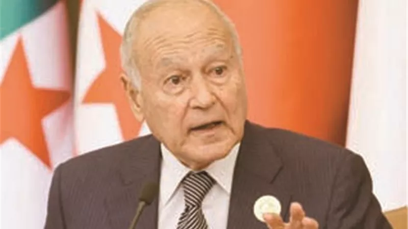 أبو الغيط: سكوت العالم على تسليح المستوطنين أمرى مخزي