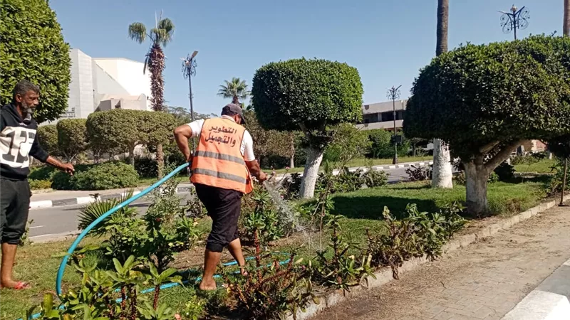 استمرار تطوير وتجميل مسطحات وميادين الإسماعيلية