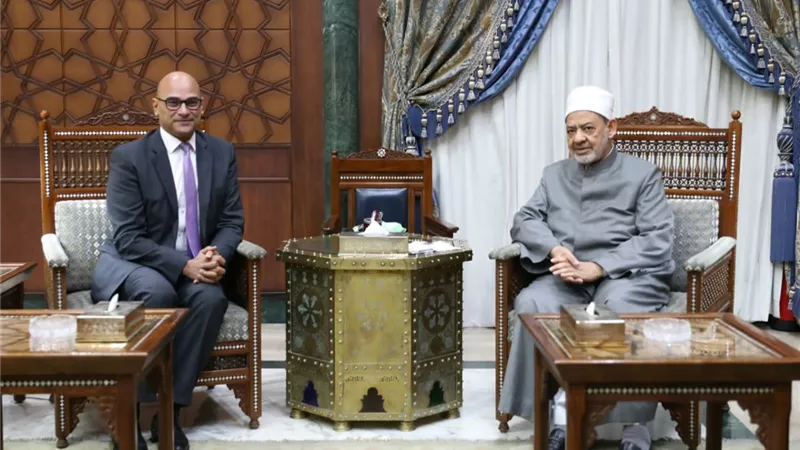 الطيب يوصي سفراء مصر لدى أفريقيا بالاستفادة من الأزهر