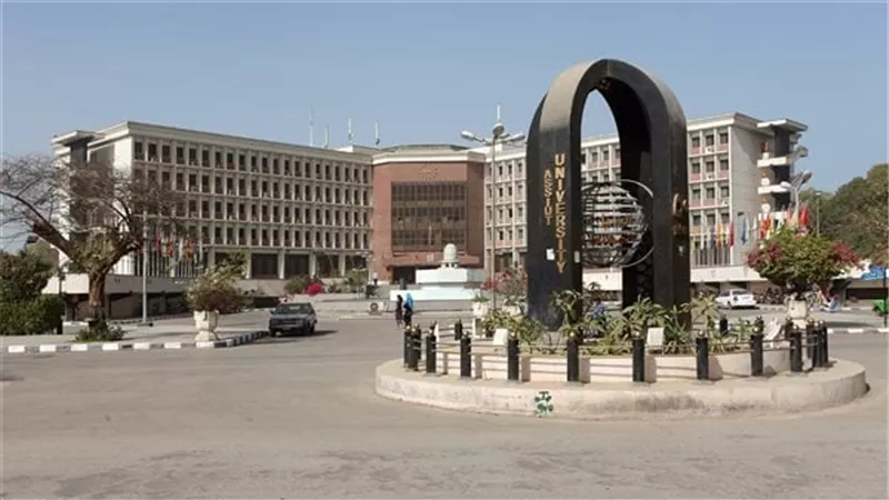 مستشفيات جامعة أسيوط تنظم ورش عمل لتوعيةالفرق الطبية بأعمال المبادرة