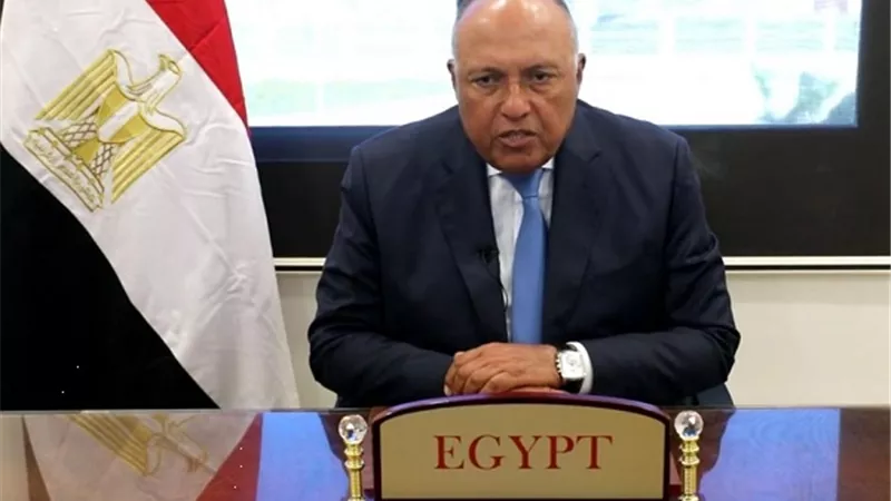 وزير الخارجية يتوجه إلى الرياض للمشاركة في القمة السعودية الإفريقية