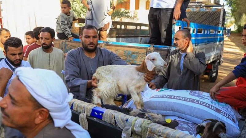 تضامن المنيا :تسليم مشروعات التمكين الاقتصادي للمستفيدين
