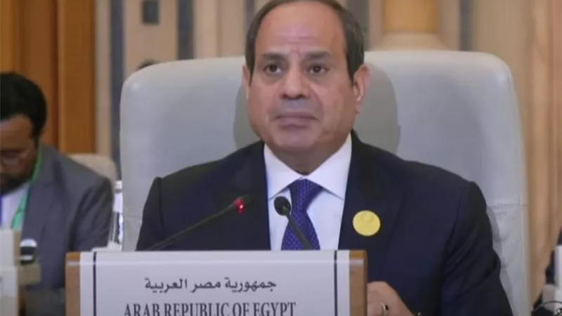 السيسي: سياسات العقاب الجماعى لأهالى غزة غير مقبولة ويجب وقفها فورا