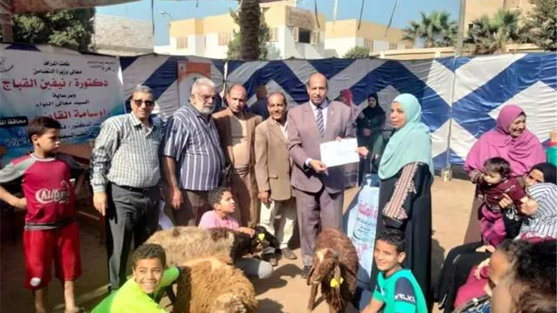 تسليم 329 رأس ماشية لدعم الأسر الأولى بالرعاية بسمالوط والمنيا