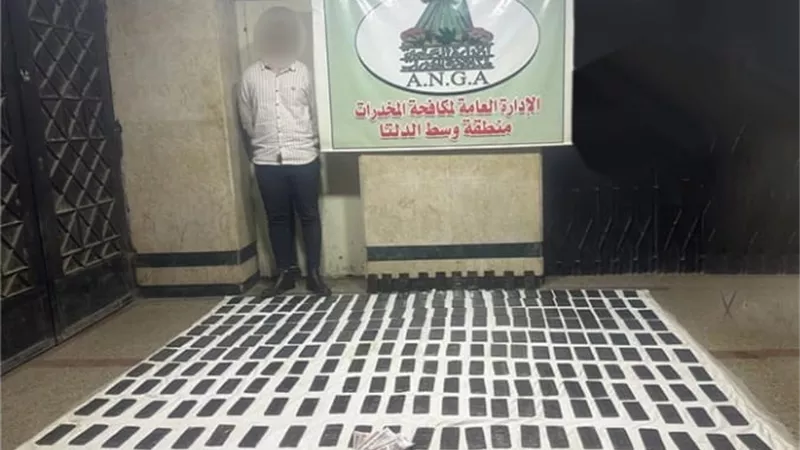 القبض على مجرم بـ240 طربة حشيش في المنوفية