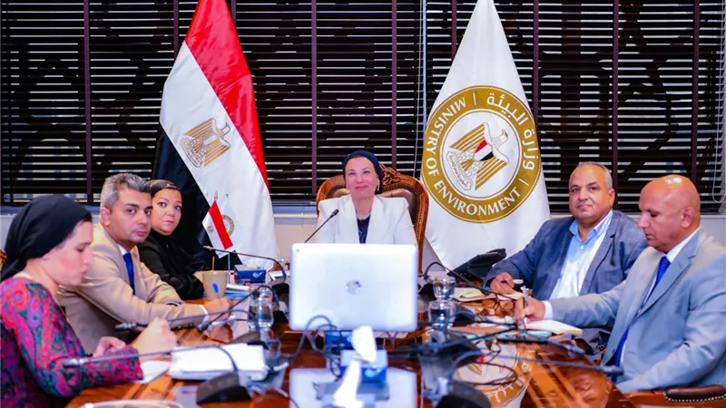 د.ياسمين فؤاد: الملاذ الآمن فرصة للتعاون المصري الأردني