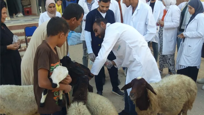 قافلة بيطرية لـ