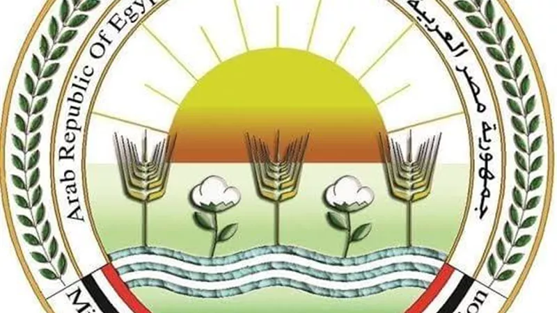 الزراعة : لم يتم رصد حالات إصابة بأي سلالة جديدة من فيروس إنفلونزا الطيور